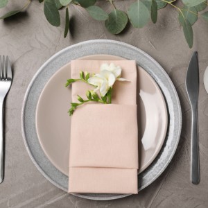 Dinner Napkins