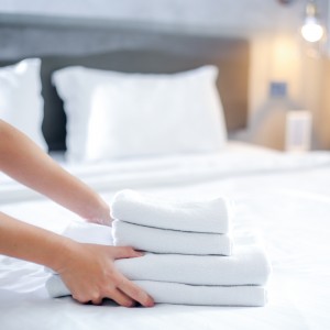 Image features types of linen pillow cases and Duvet covers 