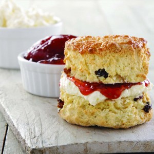 Plain & Fruit Scones