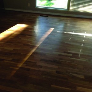 Wooden & Polished Floors