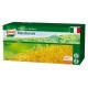 Knorr Macaroni 3kg in green box