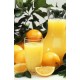 Orange Juice 1ltr Carton