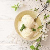 Vegan Vanilla Bean Ice Cream 5ltr Vegan Vanilla Bean Ice Cream 5ltr