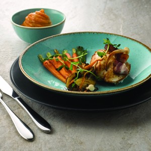 Modern plates for clearance restaurant