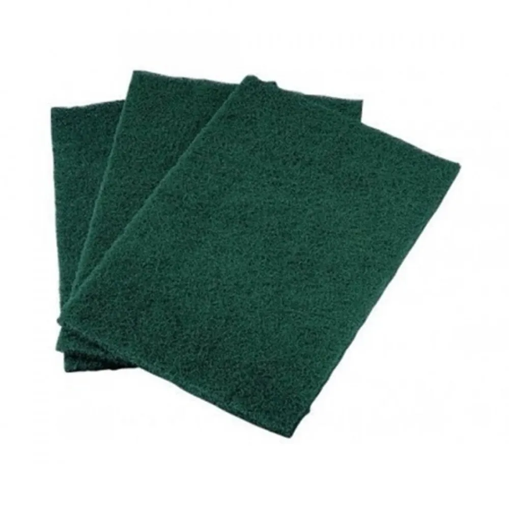 Green Scouring Pads X10