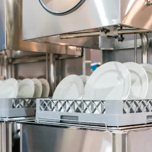 Automatic Dish Washing
