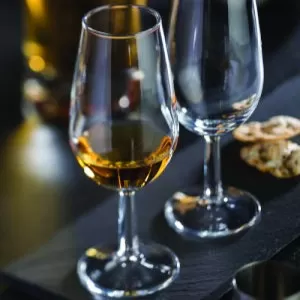 Wine Tasting Glasses