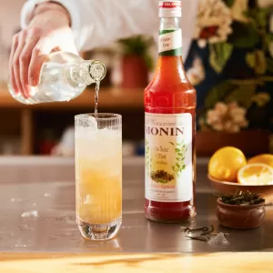 Monin Syrups
