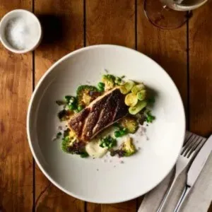 Elevate Plates & Platters