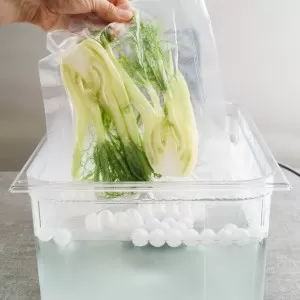 Sous Vide