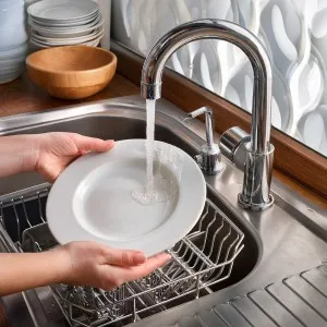 Dish Washing