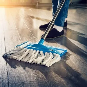 Floor Cleaners