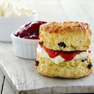 Plain & Fruit Scones