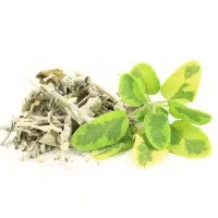 Sage 150g