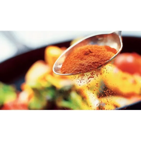 Red shaker container of Santa Maria Fajita Spice Mix 504g