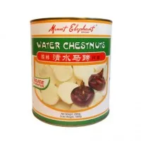 Water Chestnuts 2.95kg
