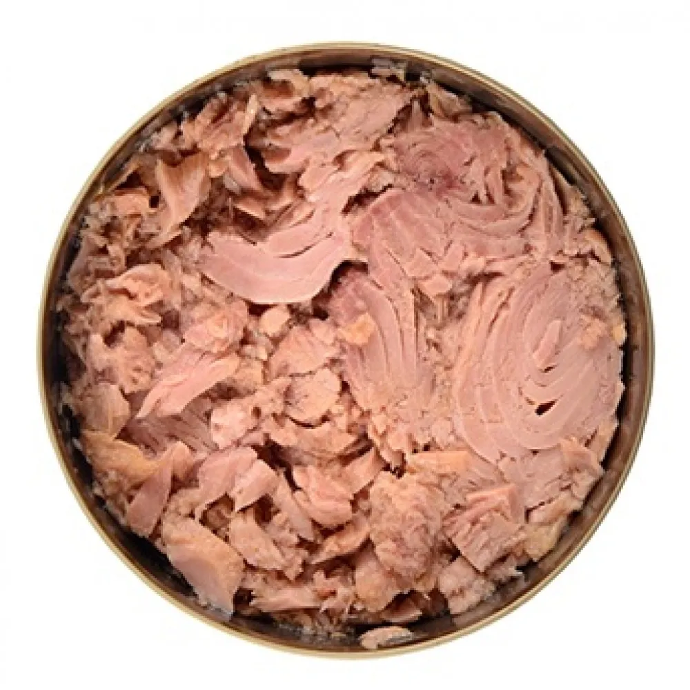Newforge Tuna Chunks In Brine 1.7kg