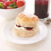 Premium Plain Scone T&s 105g X 84