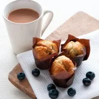 Mini Blueberry Flowerpot Muffin 45g X 48