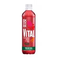 Drr Vital Prickly Pear, Redcurrant & Ginseng 450ml X 15 Drs