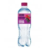 Drr Forest Fruits 500ml X 15 Drs