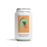 Something & Nothing Ginger & Key Lime Soda 330ml X 12 Drs