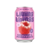 Living Things Raspberry & Pomegranate Soda 330ml X 12 Drs