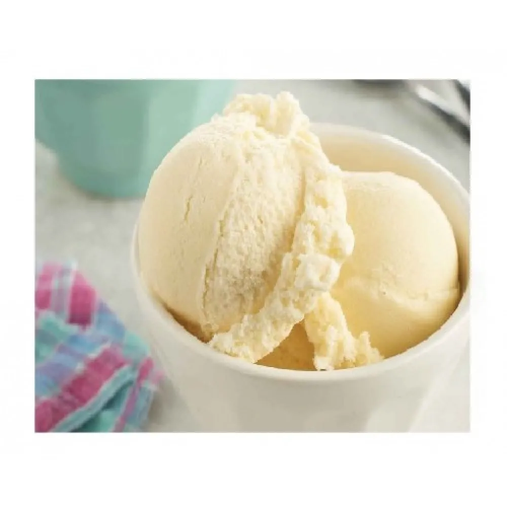 Paganini Vanilla Ice Cream 4ltr