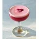 Drink Botanicals Premium Sour Cherry Syrup in a Bottle