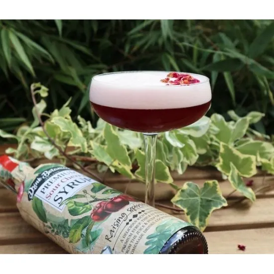 Drink Botanicals Premium Sour Cherry Syrup in a Bottle