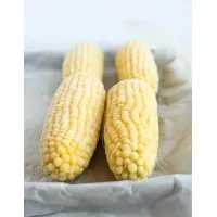 Corn On The Cob 250g X 48