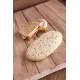 Oval Panini Nigella & Sesame Sandwich