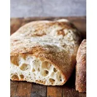 Ciabatta Rustica 100g X 66