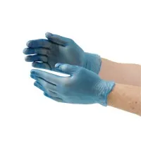 Vinyl Gloves Blue Powder Free Large X 100