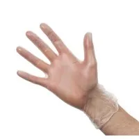Vinyl Gloves Clear Small Powdered X 100
