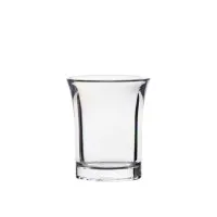 Economy Reusable Poly Shot 25ml X100