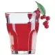 Granity Whiskey Tumbler 