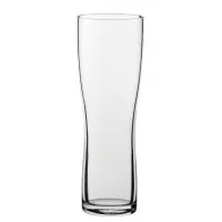 Aspen Beer 20oz Ce Nucleated X 24
