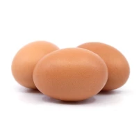 Fresh Whole Medium Eggs X 360