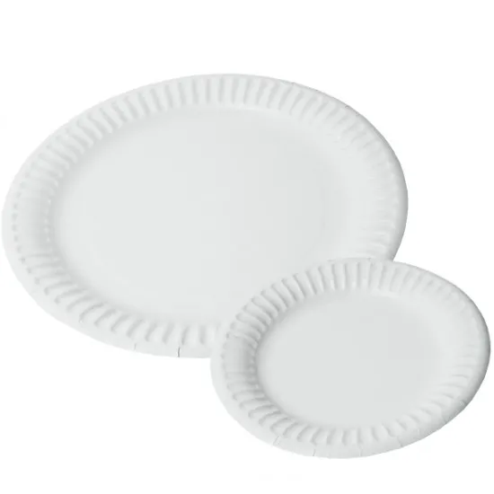 Compostable Paper Plate 7'' X 100