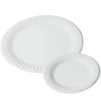Compostable Paper Plates 9'' X 100