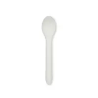 Compostable Paper Spoon X 1000