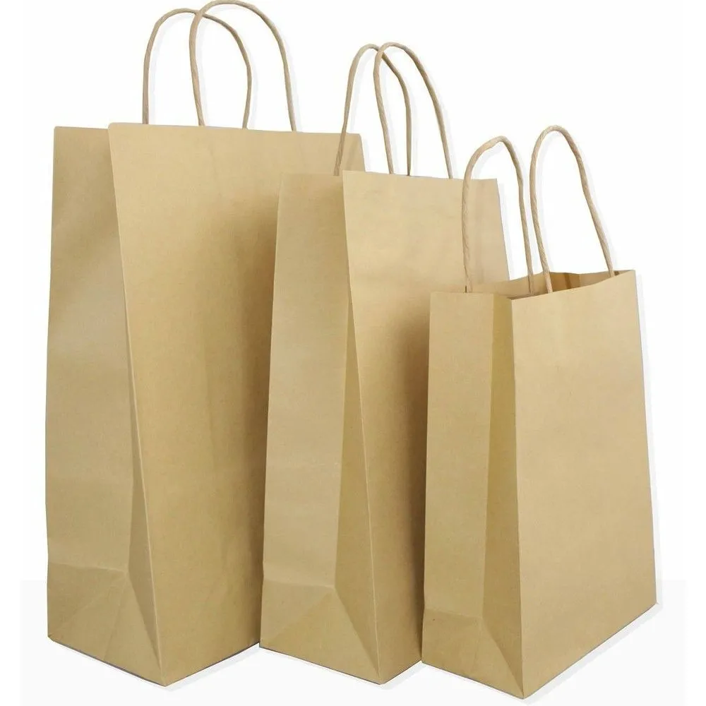 Kraft Twist Handle Bags Large X 250