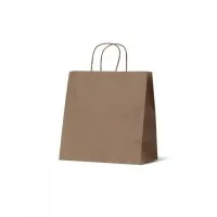 Twist Handle Kraft Bag Medium X 250