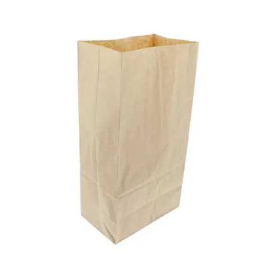Extra Large Kraft Stout Bag