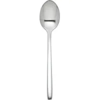 Radius Tea Spoon X 12