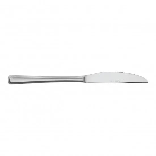Steak Knife S/s X 12