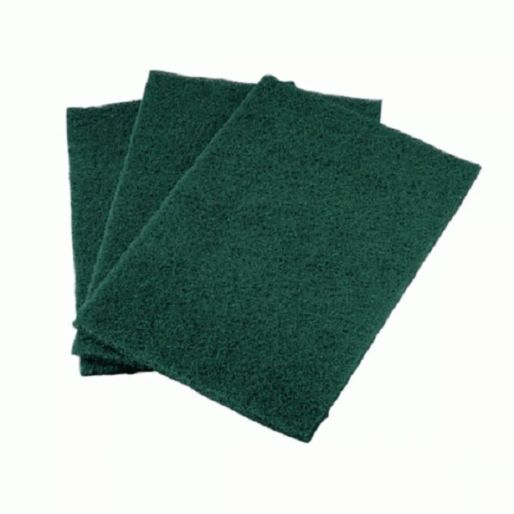 Green Scouring Pads X10