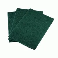 Green Scouring Pads X10