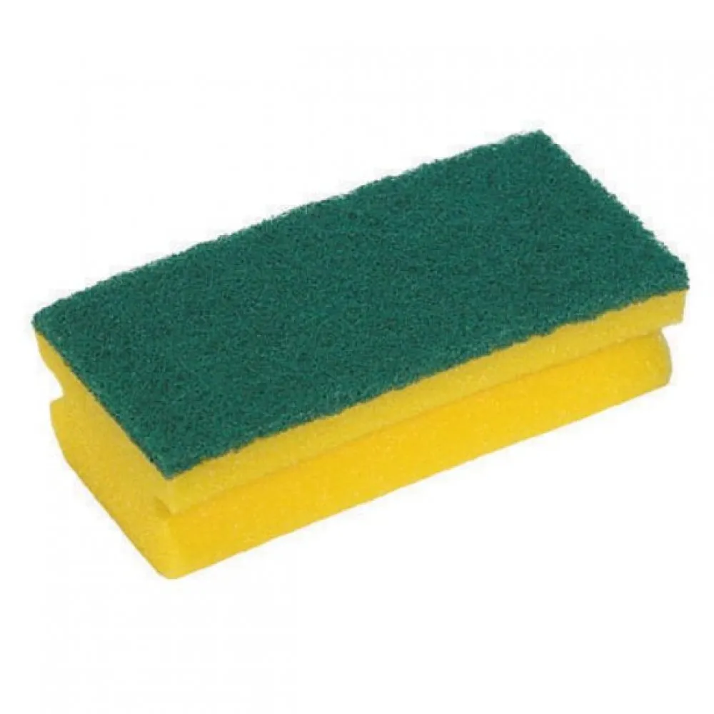 Green Back Sponge X 10